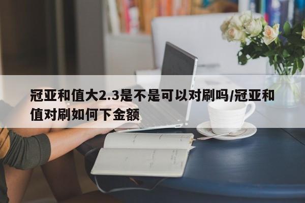 冠亚和值大2.3是不是可以对刷吗/冠亚和值对刷如何下金额