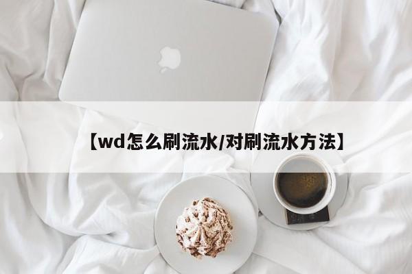 【wd怎么刷流水/对刷流水方法】