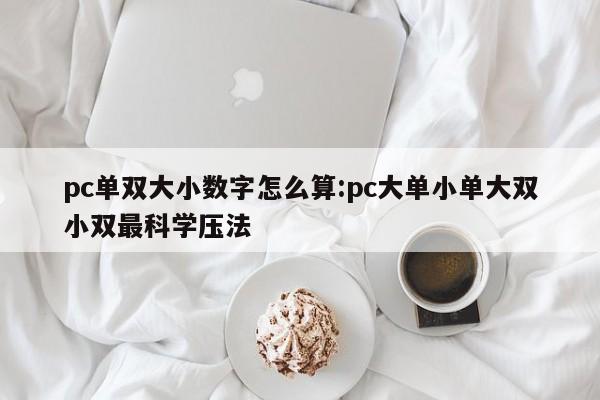 pc单双大小数字怎么算:pc大单小单大双小双最科学压法