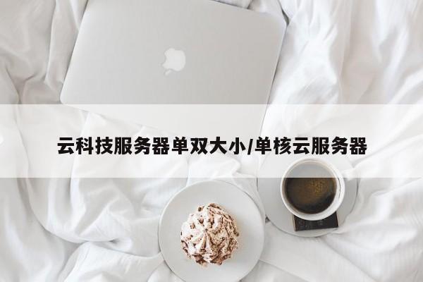 云科技服务器单双大小/单核云服务器